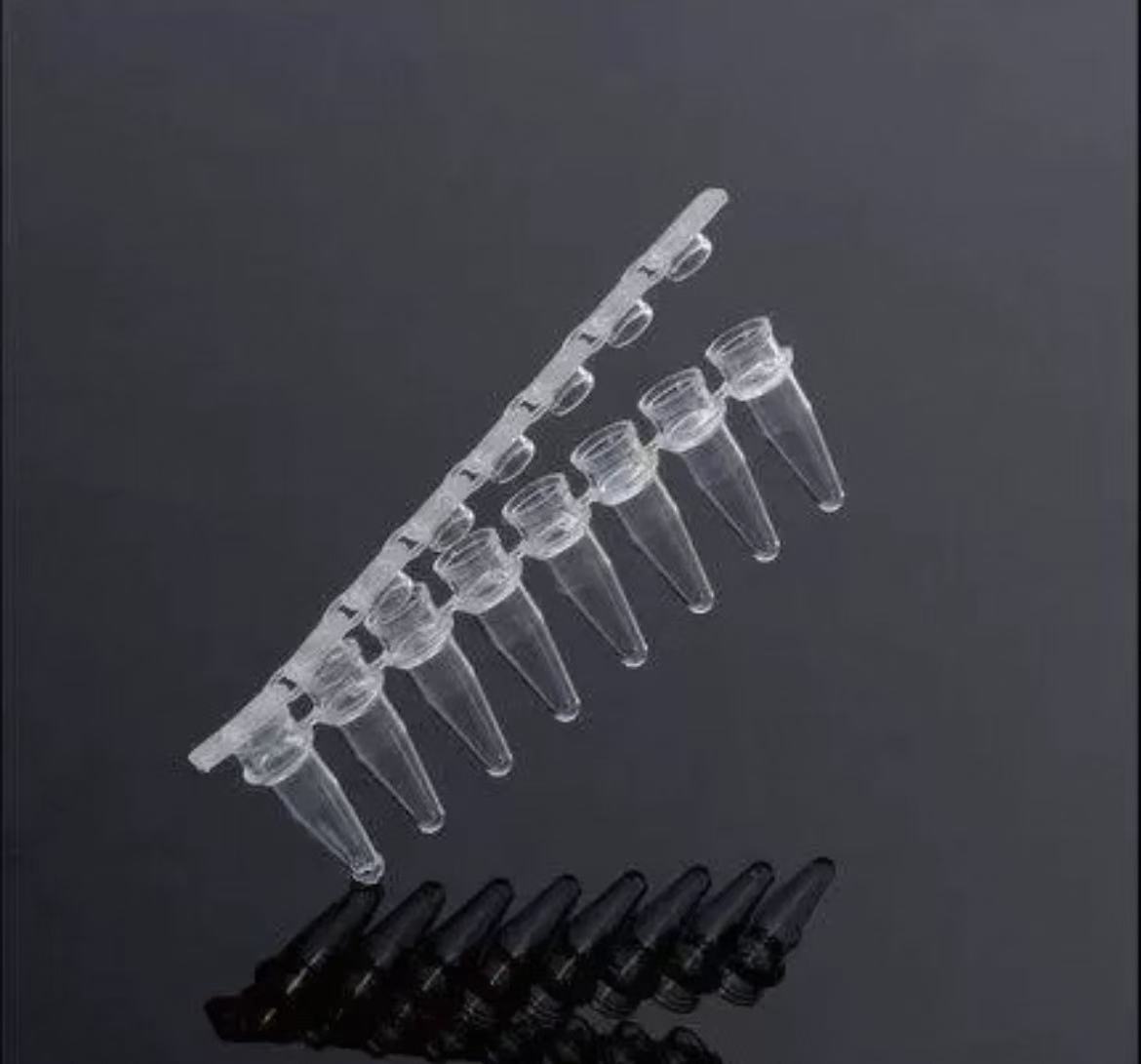 PCR