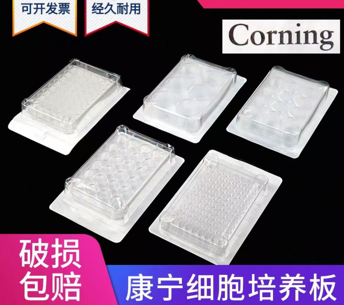 康宁TC表面