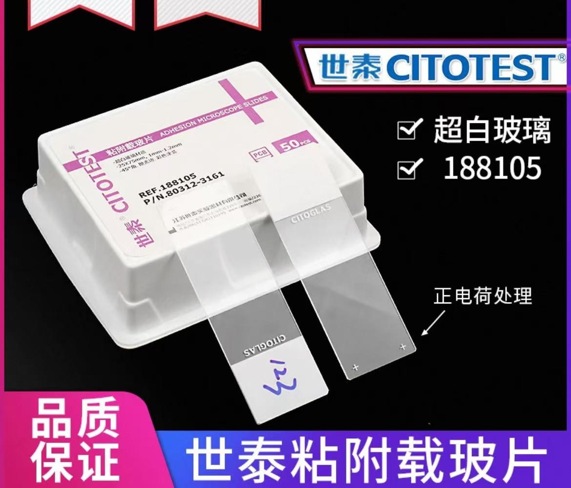世泰超白玻璃