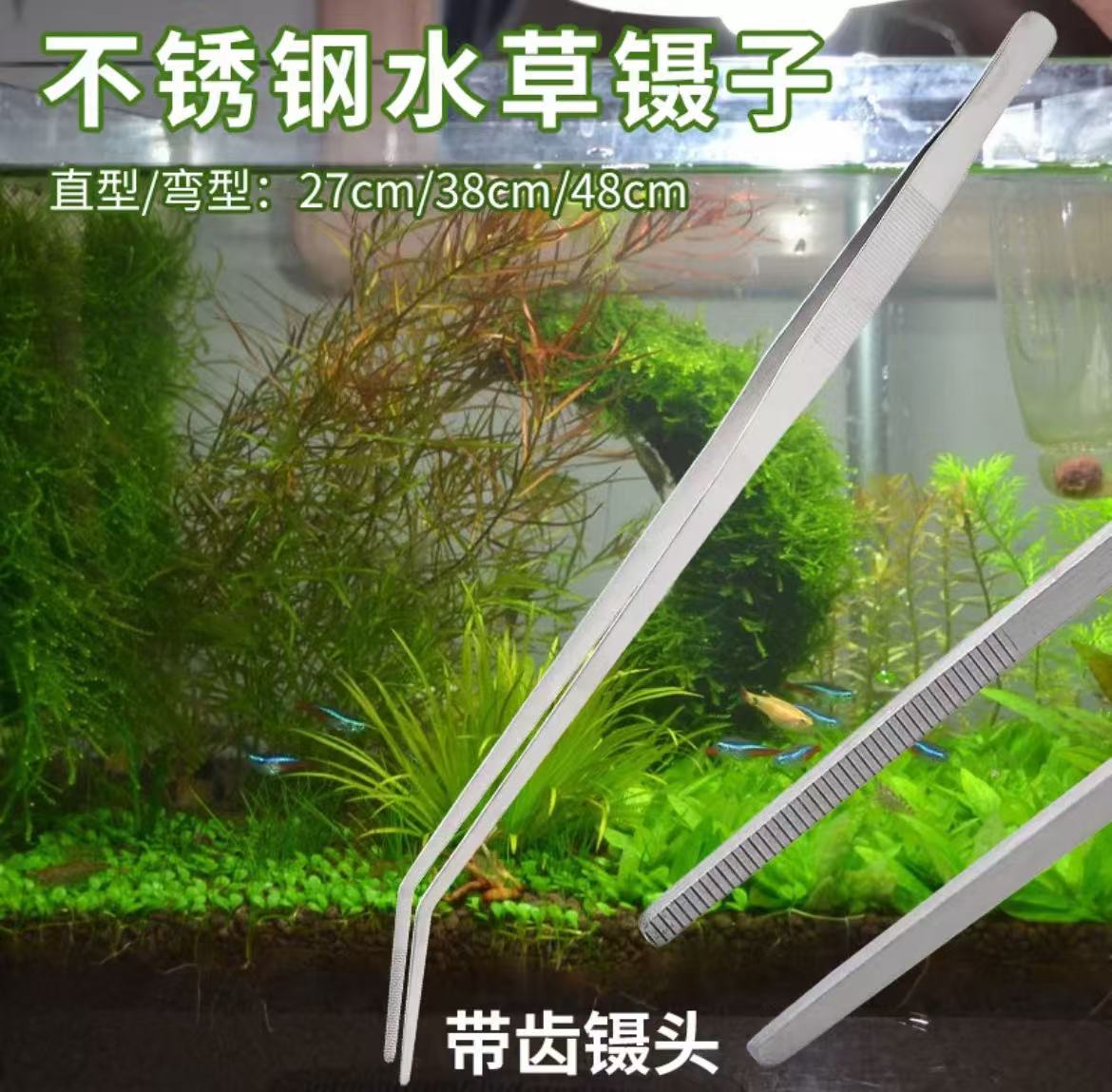 430不锈钢加长镊子
