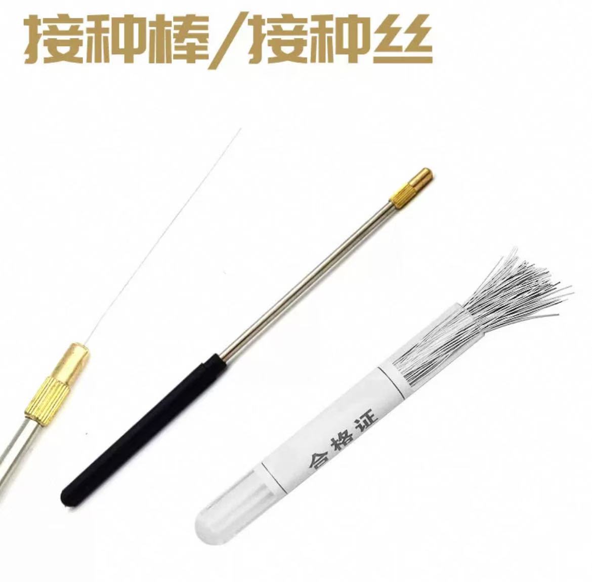镍铬丝接种丝/铜制接种棒（配套使用）镍铬丝接种针