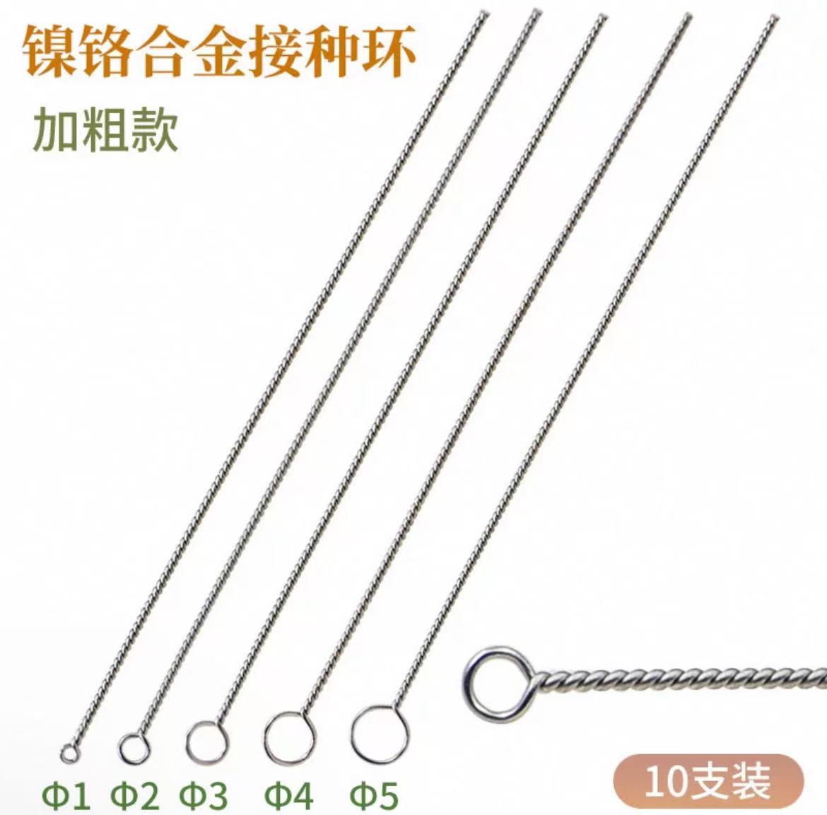 镍铬合金接种环