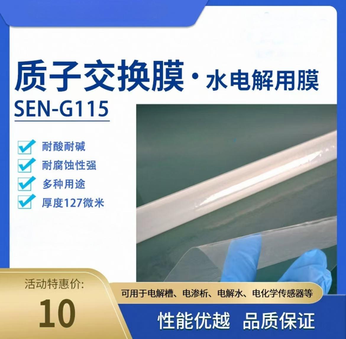 质子交换膜