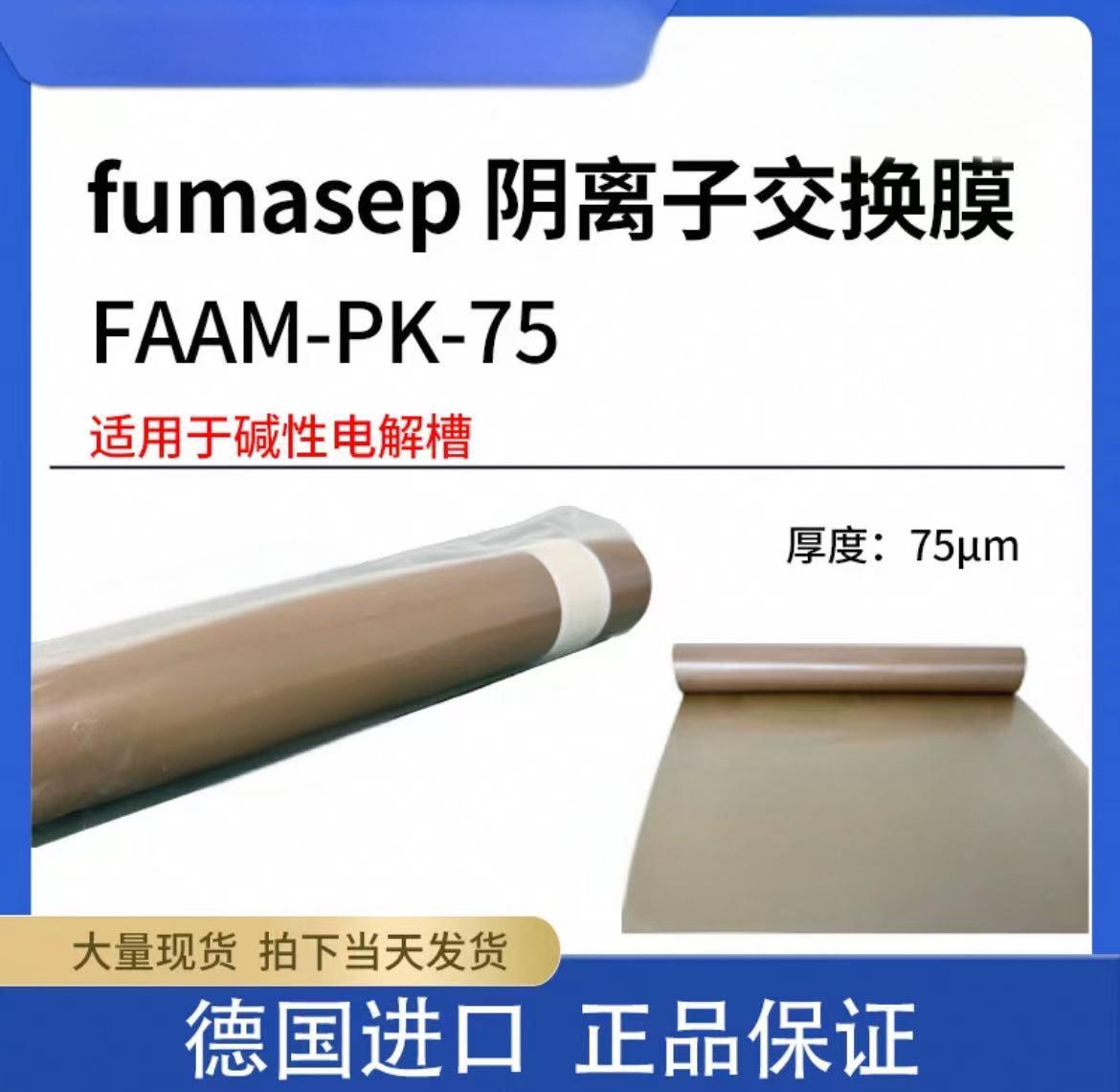 Fumasep阴离子交换膜