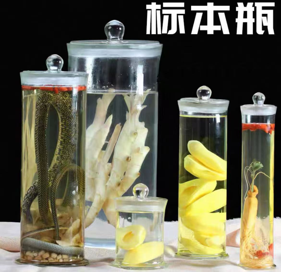 玻璃标本瓶